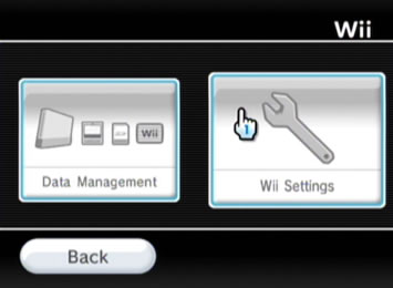 Wii screenshot 2